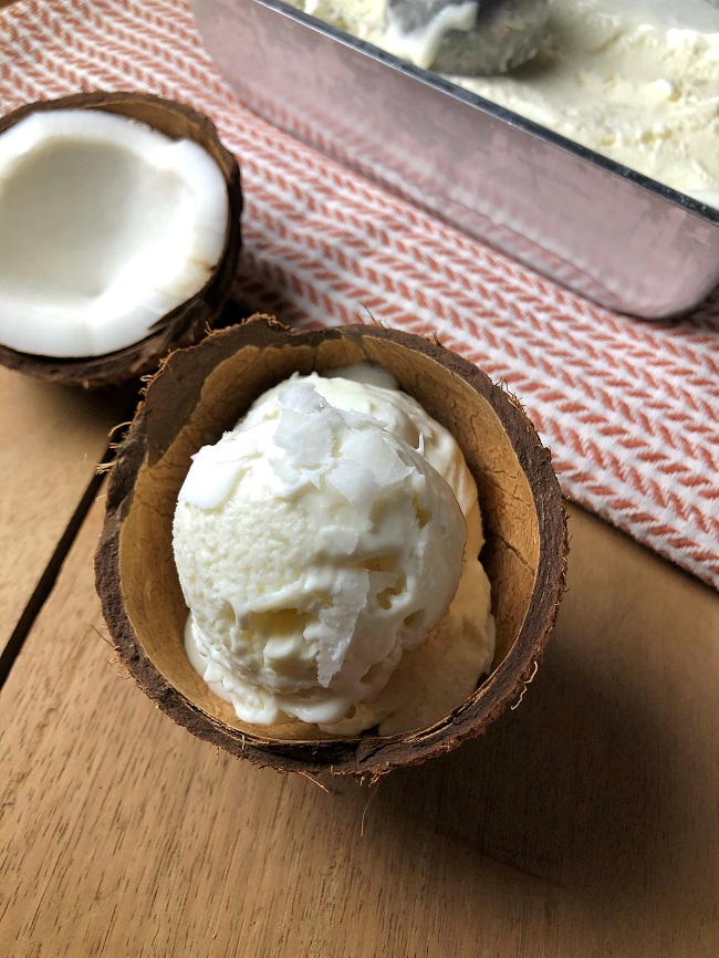 Coconut Ice Cream
