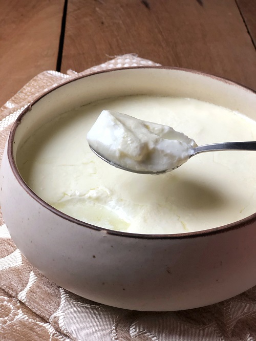 How to Make Yogurt or Curd At Home