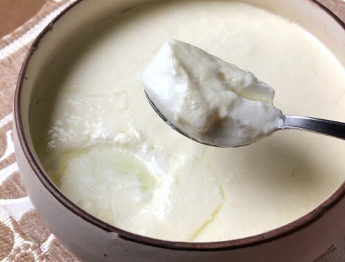 How to Make Yogurt or Curd At Home