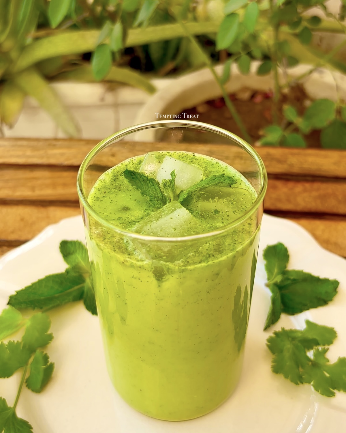 High Protein Sattu Chaas Recipe